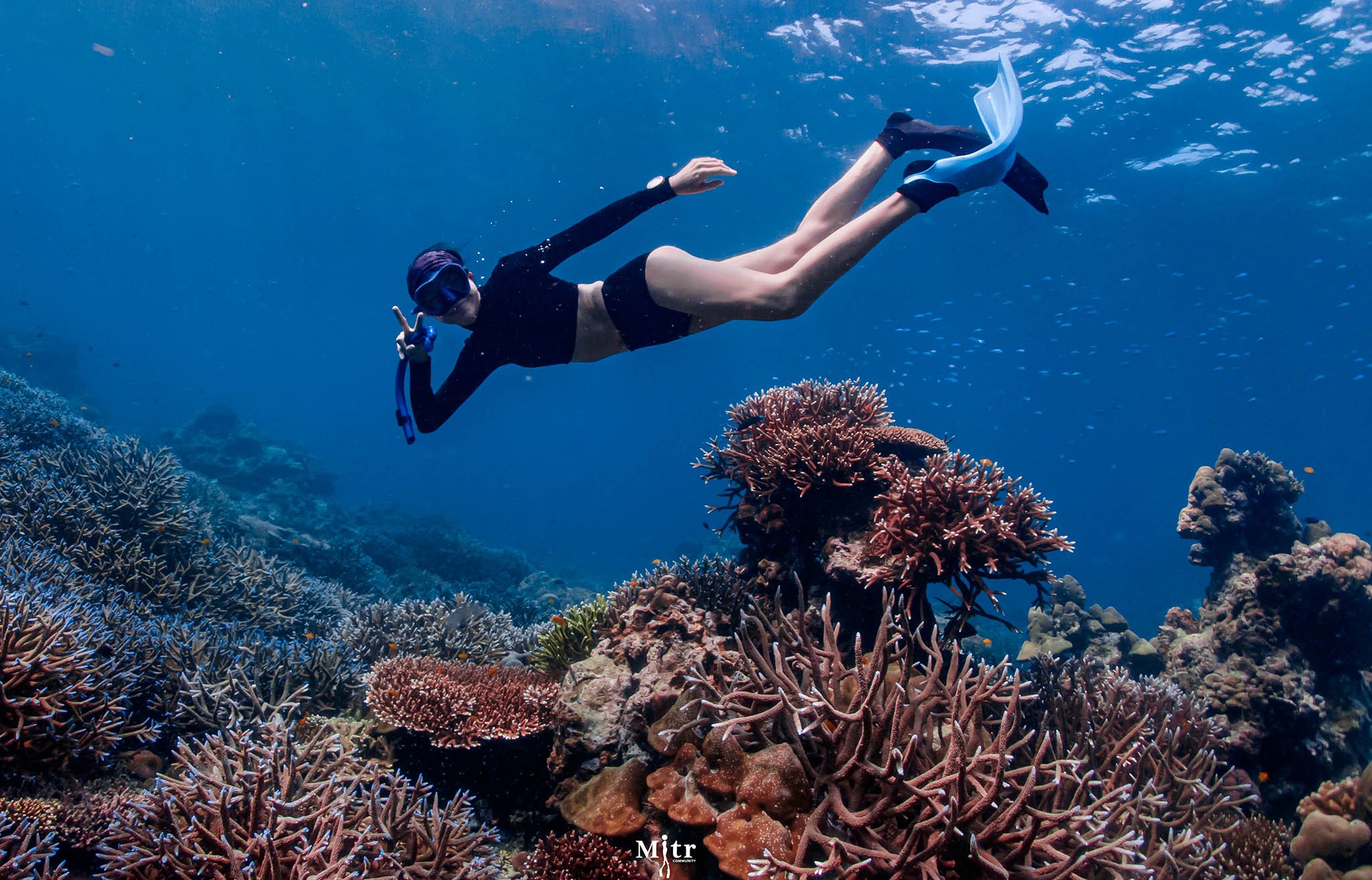 Mitr Freediving Community
